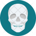 پیش‌نمایش فایل skull-9575101 از پک پزشکی