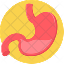 پیش‌نمایش فایل stomach-9575105 از پک پزشکی
