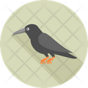 پیش‌نمایش فایل crow-9580317 از پک هالووین