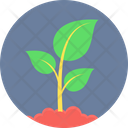 پیش‌نمایش فایل plant-9574750 از پک بوم‌شناسی و محیط زیست