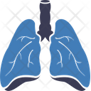 پیش‌نمایش فایل lungs-disease-9572804 از پک ترکیبی