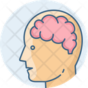 پیش‌نمایش فایل human-brain-9806230 از پک آموزش و پرورش