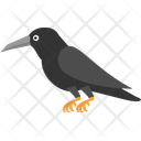 پیش‌نمایش فایل crow-10149089 از پک هالووین