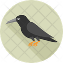 پیش‌نمایش فایل crow-10149021 از پک هالووین