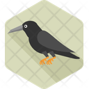 پیش‌نمایش فایل crow-10148934 از پک هالووین