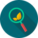 پیش‌نمایش فایل search-ecology-10191349 از پک سئو