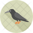 پیش‌نمایش فایل crow-10195798 از پک هالووین