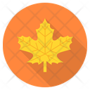 پیش‌نمایش فایل maple-leaf-10191982 از پک آب و هوا