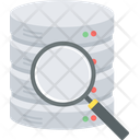 پیش‌نمایش فایل data-search-10145041 از پک سئو و توسعه وب