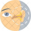 پیش‌نمایش فایل eye-treatment-10144596 از پک پزشکی