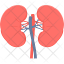 پیش‌نمایش فایل kidneys-10144531 از پک پزشکی