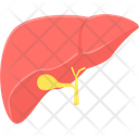 پیش‌نمایش فایل liver-10144532 از پک پزشکی