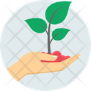 پیش‌نمایش فایل plant-9885011 از پک اکولوژی