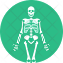 پیش‌نمایش فایل skeleton-10116829 از پک علم