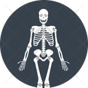 پیش‌نمایش فایل skeleton-10116893 از پک علم