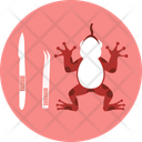پیش‌نمایش فایل virus-10116929 از پک علم
