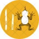پیش‌نمایش فایل frog-10117016 از پک علم