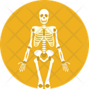 پیش‌نمایش فایل skeleton-10117002 از پک علم