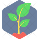 پیش‌نمایش فایل planting-71 از پک ورژن هکساگونا - بخش 2