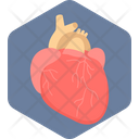 پیش‌نمایش فایل heart-1921 از پک پزشکی - فلت, بخش 2