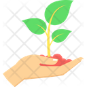 آیکن