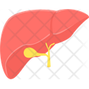 پیش‌نمایش فایل liver-82 از پک پزشکی