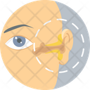 پیش‌نمایش فایل ear-treatment-1 از پک پزشکی - بخش 3