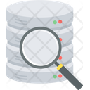 پیش‌نمایش فایل data-search-11 از پک سئو و توسعه وب - بخش 3