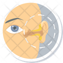 پیش‌نمایش فایل ear-treatment-2 از پک آیکن‌های پزشکی - بخش 3
