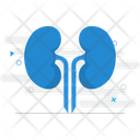 پیش‌نمایش فایل kidneys-11068138 از پک ترکیبی