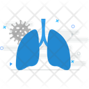 پیش‌نمایش فایل lungs-11068469 از پک ترکیبی