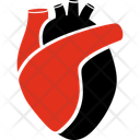 پیش‌نمایش فایل cardiology-10945802 از پک پزشکی