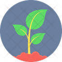 پیش‌نمایش فایل plant-11170580 از پک اکولوژی