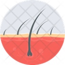 پیش‌نمایش فایل hair-transplant-11172709 از پک پزشکی