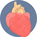 پیش‌نمایش فایل heart-11172681 از پک پزشکی