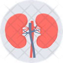 پیش‌نمایش فایل kidneys-11172683 از پک پزشکی