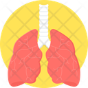 پیش‌نمایش فایل lungs-11172685 از پک پزشکی