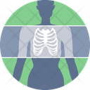 پیش‌نمایش فایل x-ray-11172757 از پک پزشکی