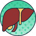 پیش‌نمایش فایل liver-12216769 از پک پزشکی
