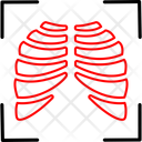 پیش‌نمایش فایل organ-12533377 از پک علم و آزمایش