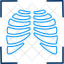 پیش‌نمایش فایل organ-12532206 از پک علم و آزمایش