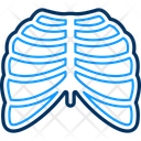 پیش‌نمایش فایل radiology-12532593 از پک پزشکی