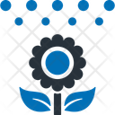پیش‌نمایش فایل flower-12511217 از پک آب و هوا