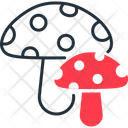 پیش‌نمایش فایل mushrooms-12669981 از پک غذا و نوشیدنی