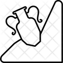 پیش‌نمایش فایل history-12697346 از پک علم
