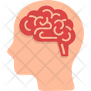 پیش‌نمایش فایل human-brain-13015962 از پک متفرقه