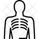 پیش‌نمایش فایل human-ribs-14023510 از پک پزشکی