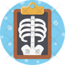 پیش‌نمایش فایل xray-14779793 از پک ترکیبی