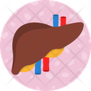 پیش‌نمایش فایل liver-14823904 از پک ترکیبی