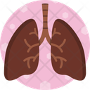 پیش‌نمایش فایل lungs-14823906 از پک ترکیبی